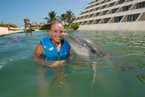 nager avec les dauphins punta cana|Punta Cana : Baignade avec les dauphins